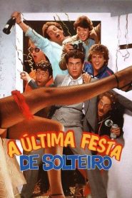 A Última Festa de Solteiro