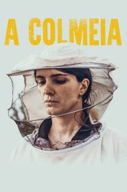 A Colmeia – Hive